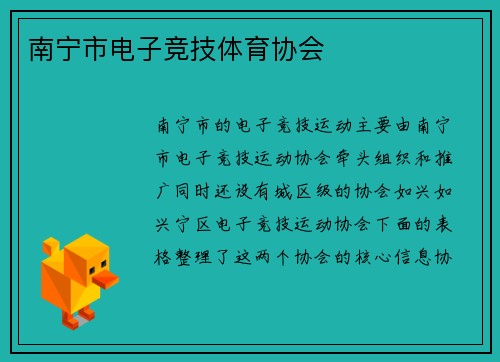 南宁市电子竞技体育协会